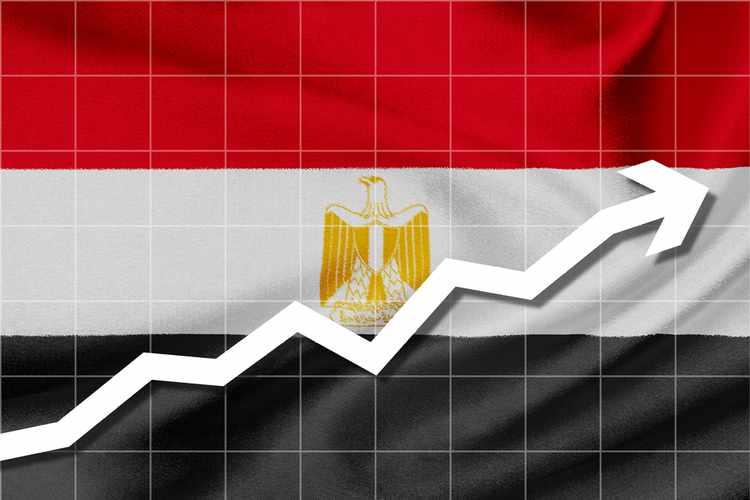 خطة مصر لخلق 700 ألف وظيفة سنويا وخصخصة شركات الجيش