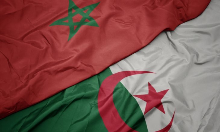 صيد الأسماك في الجزائر: حلم الأطلسي والشراكة مع المغرب