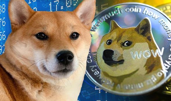 حقائق عن عملة شيبا اينو Shiba Inu قاتل دوجكوين