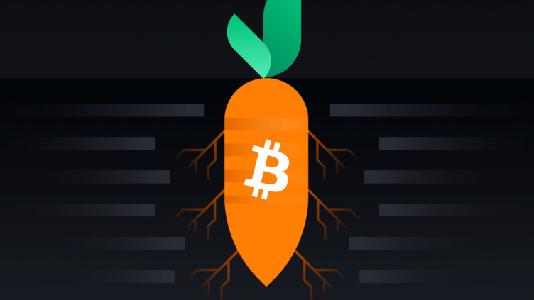 تأثير تحديث Taproot على سعر بيتكوين والتعامل بها