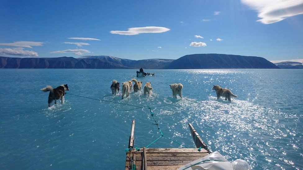 حظر التنقيب عن النفط والغاز عالميا والبداية من جرينلاند 