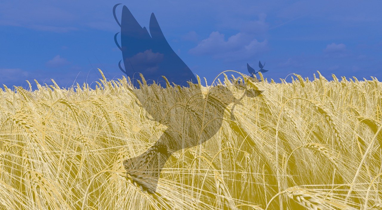 من واجب الشركات مكافحة المجاعة في العالم