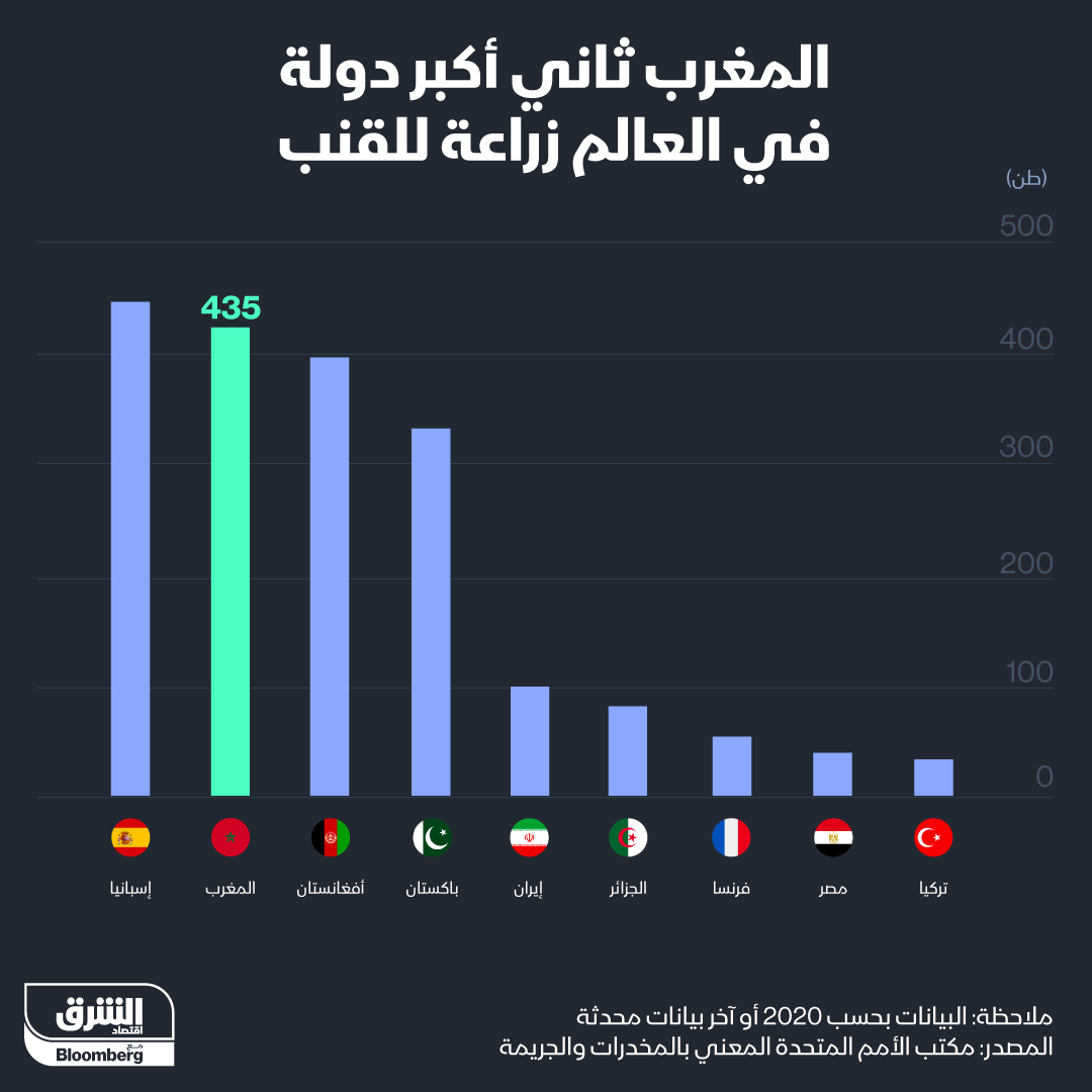 اسبانيا والمغرب أكبر منتجي القنب الهندي في العالم