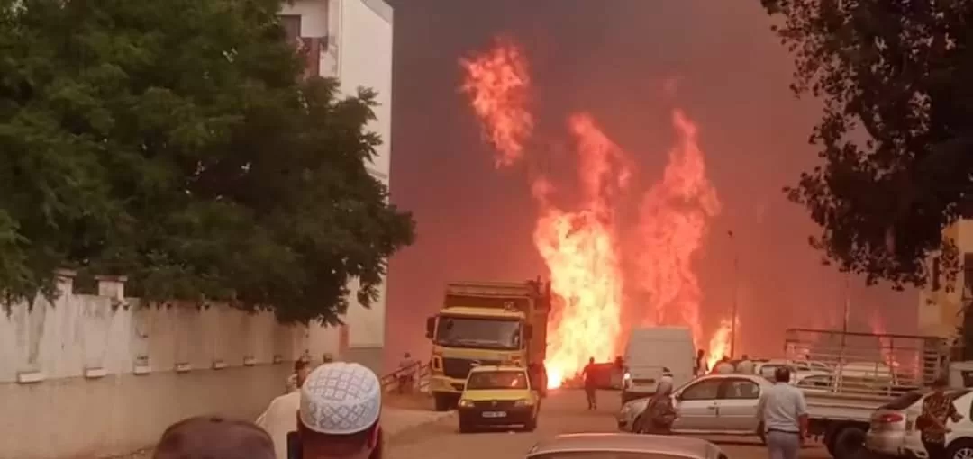 عشرات القتلى بسبب حرائق الغابات في الجزائر