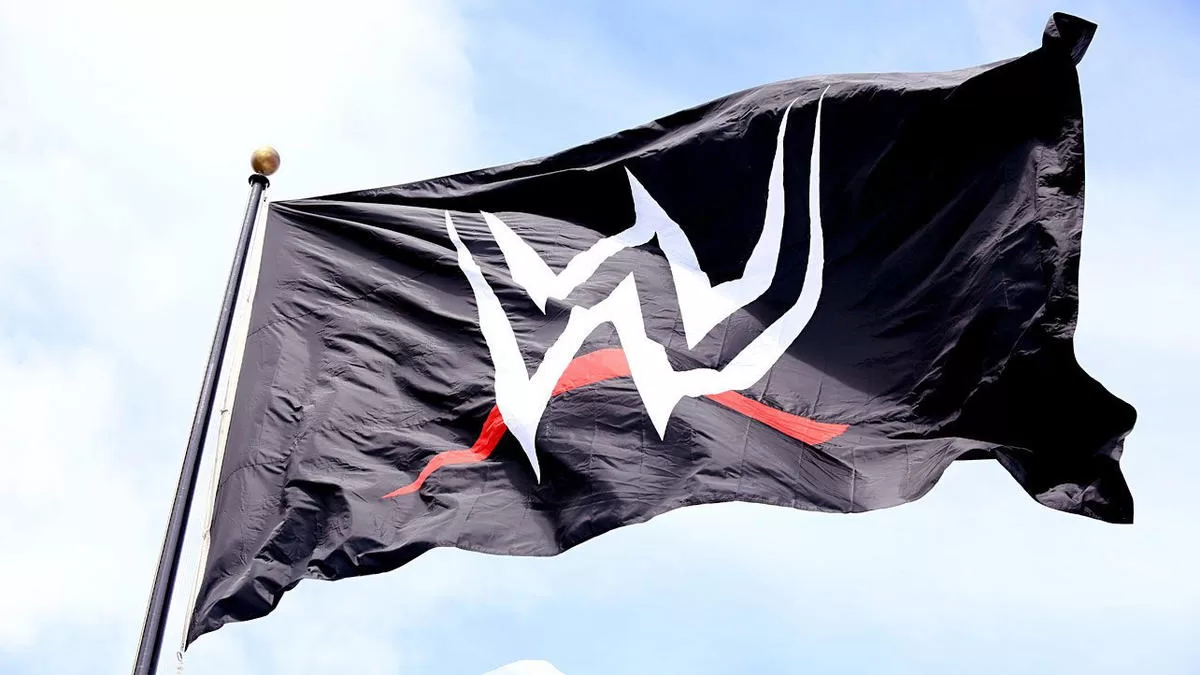 عائدات وأرباح دبليو دبليو إي WWE