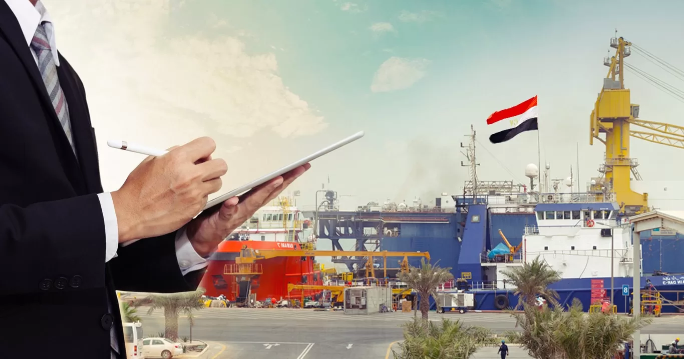 أفضل استثمار في مصر بعد تعويم الجنيه المصري