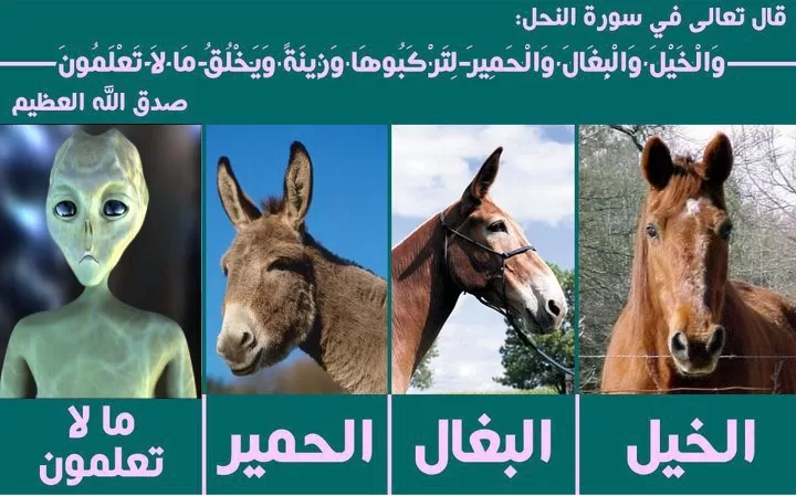 لماذا يختلف المسلم مع موقف القرآن من وجود الكائنات الفضائية؟