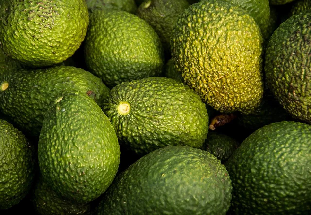 طرق تقليل استهلاك الأفوكادو للماء بنسبة 50٪ وتطبيقاتها