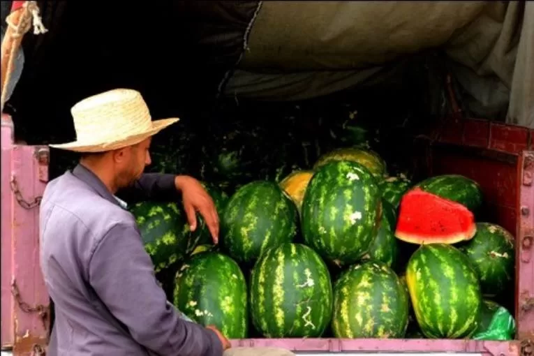 ماذا يعني انتقال زراعة البطيخ المغربي إلى موريتانيا والسنغال؟
