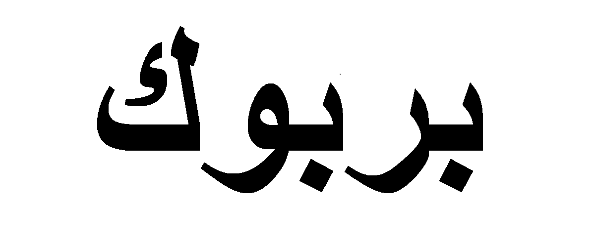 ما معنى كلمة بربوك Barbock؟
