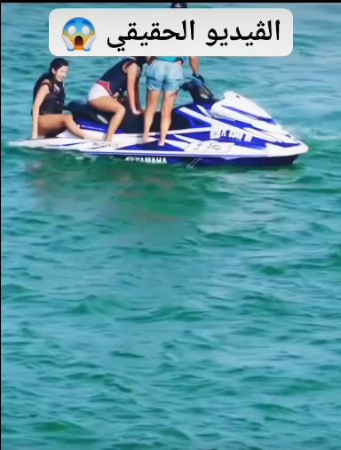 فيديو جيتسكي