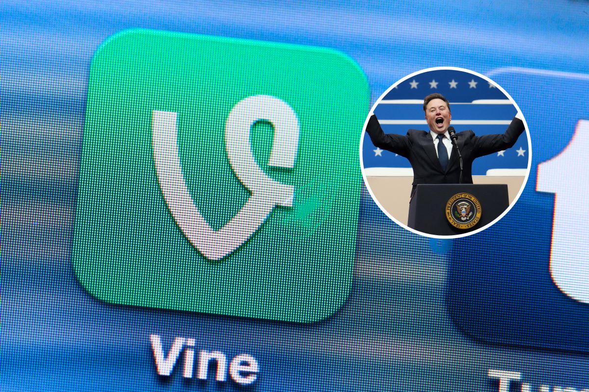 حقيقة عملة فاين كوين $VINE وعلاقة إيلون ماسك بها