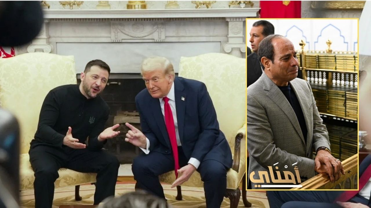عندما أهان الزعيم زيلنسيكي أمريكا ترامب وهرب الجبان السيسي