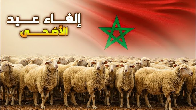 نهنئ ملك المغرب على إلغاء عيد الأضحى 2025