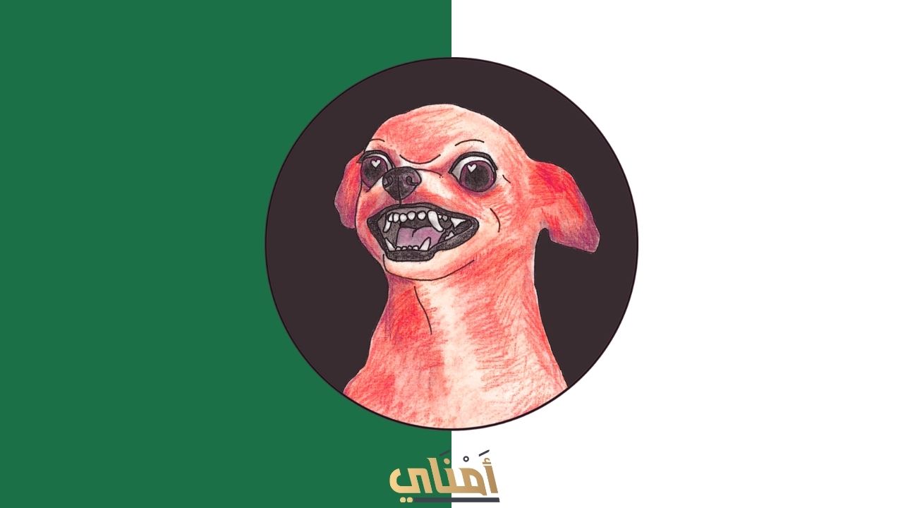 السياسة الخارجية جعلت الجزائر كلبة مسعورة معزولة!