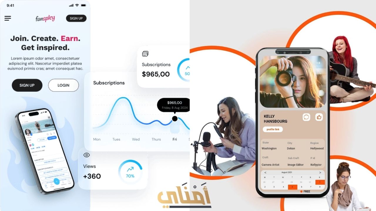 مقارنة بين فان سبايسي وباتريون: أيهما أفضل للمبدعين؟