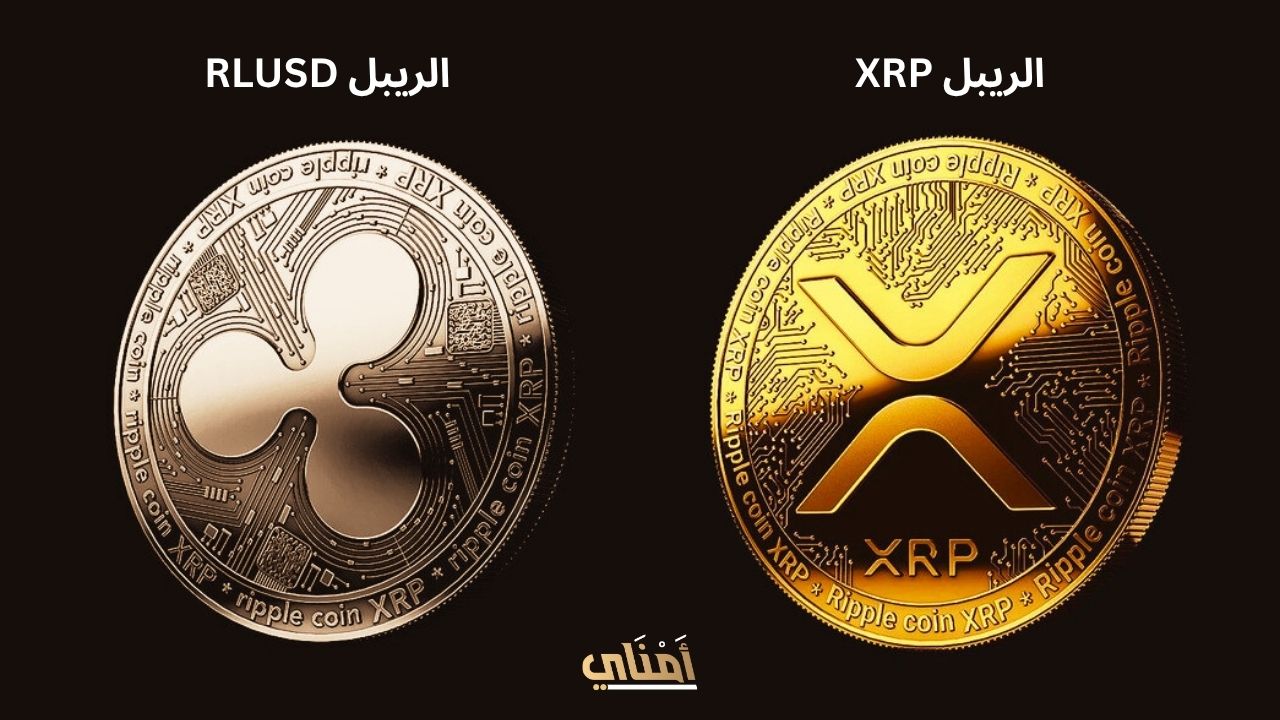 ما هي RLUSD؟ دبي تعتمد عملة الريبل المستقرة شقيقة XRP