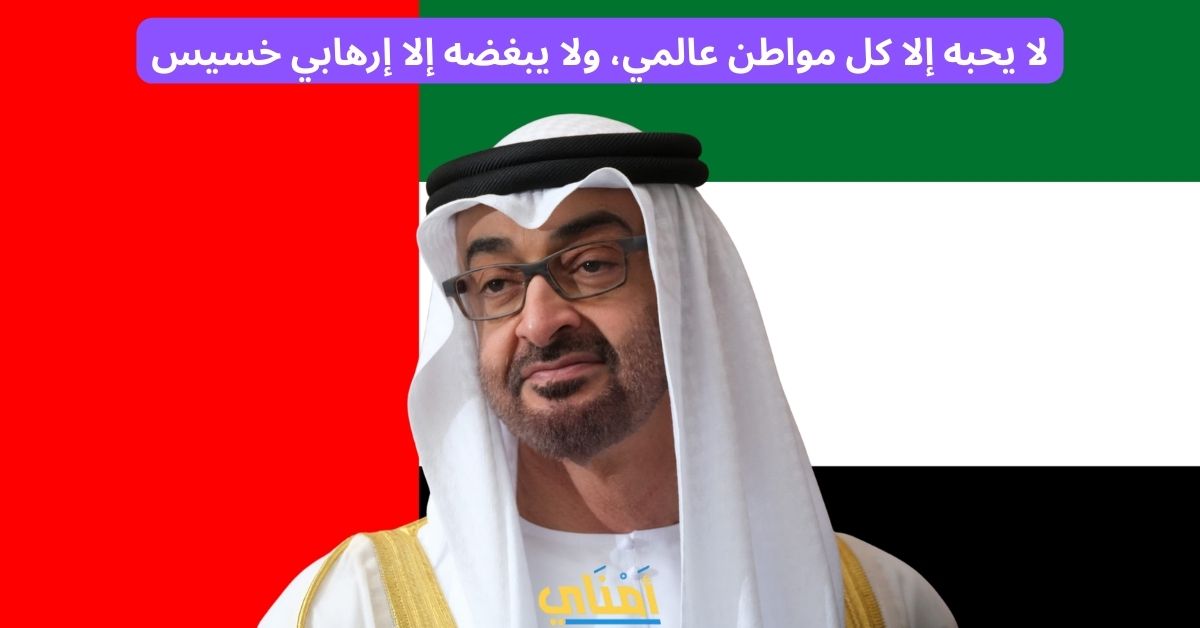 محمد بن زايد