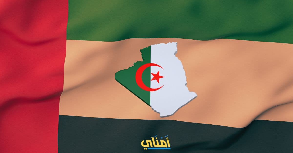 الجزائر الإمارات