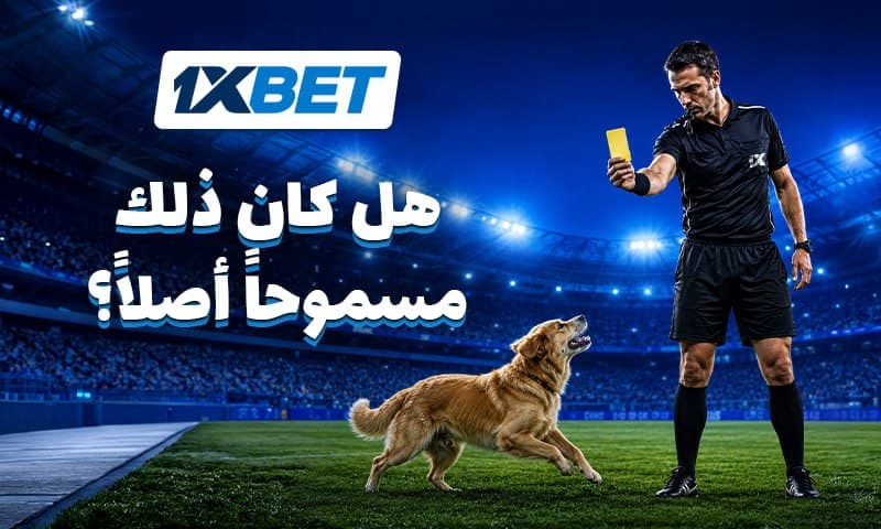 قواعد كرة القدم