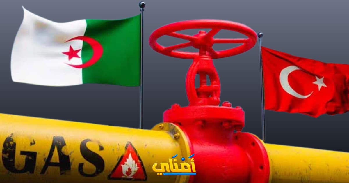 تركيا الجزائر